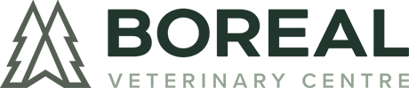 boreal_veterinary_centre_logo_w Boreal Veterinary Centre logo