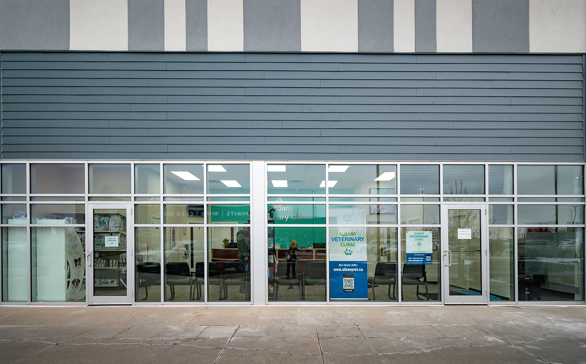 Gallery Albany Veterinary Clinic